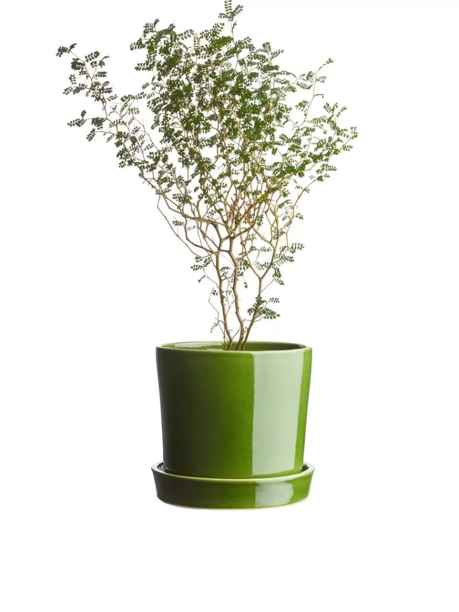 Discount ARKET Stoneware Pot 18 Cm Green